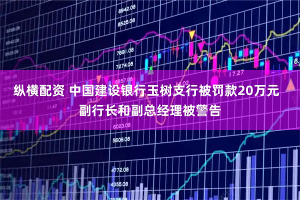 纵横配资 中国建设银行玉树支行被罚款20万元  副行长和副总经理被警告